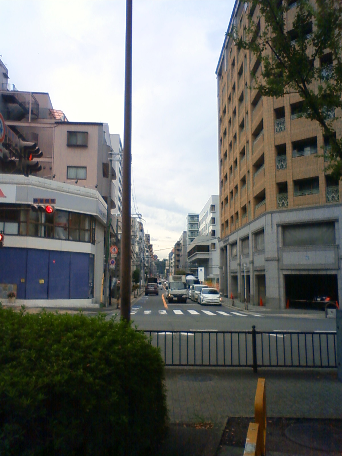 NEC_1573.JPG