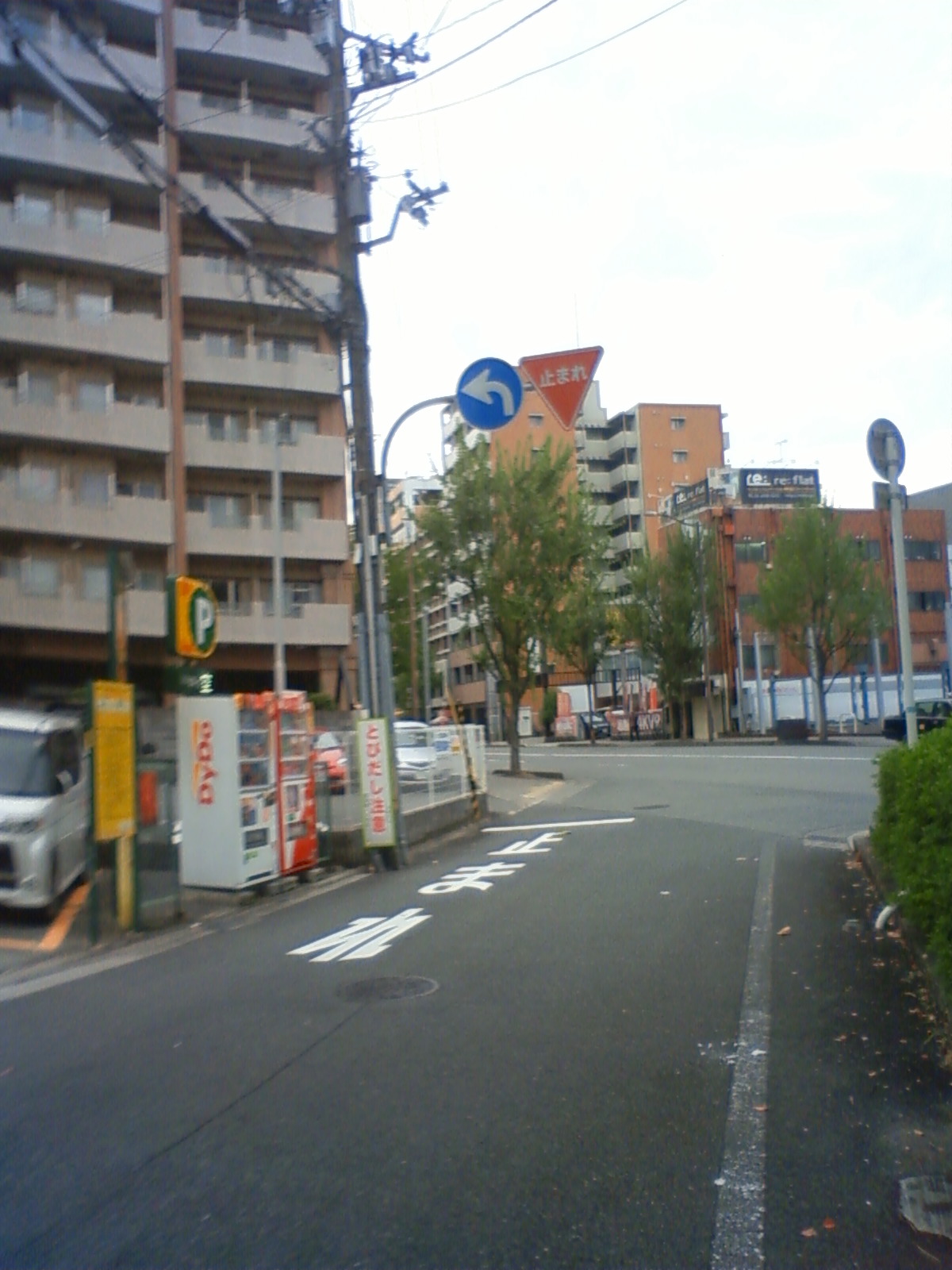 NEC_1574.JPG