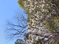 IMG_2023-03-01-10-45-51-965_thumb.png