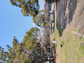 IMG_2023-03-01-10-46-06-973_thumb.png