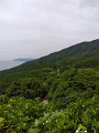 IMG_2024-07-13-12-48-08-990_thumb.png