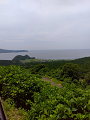 IMG_2024-07-13-12-48-16-610_thumb.png