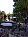 IMG_2024-07-13-16-11-24-868_thumb.png
