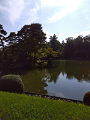 IMG_2024-07-13-16-16-26-766_thumb.png