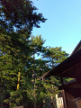 IMG_2024-07-13-16-50-53-436_thumb.png