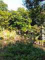 IMG_2024-07-13-17-06-53-780_thumb.png