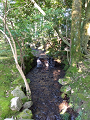 IMG_2024-07-13-17-08-53-828_thumb.png