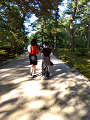 IMG_2024-07-13-17-09-40-959_thumb.png