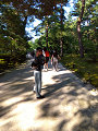 IMG_2024-07-13-17-09-47-606_thumb.png
