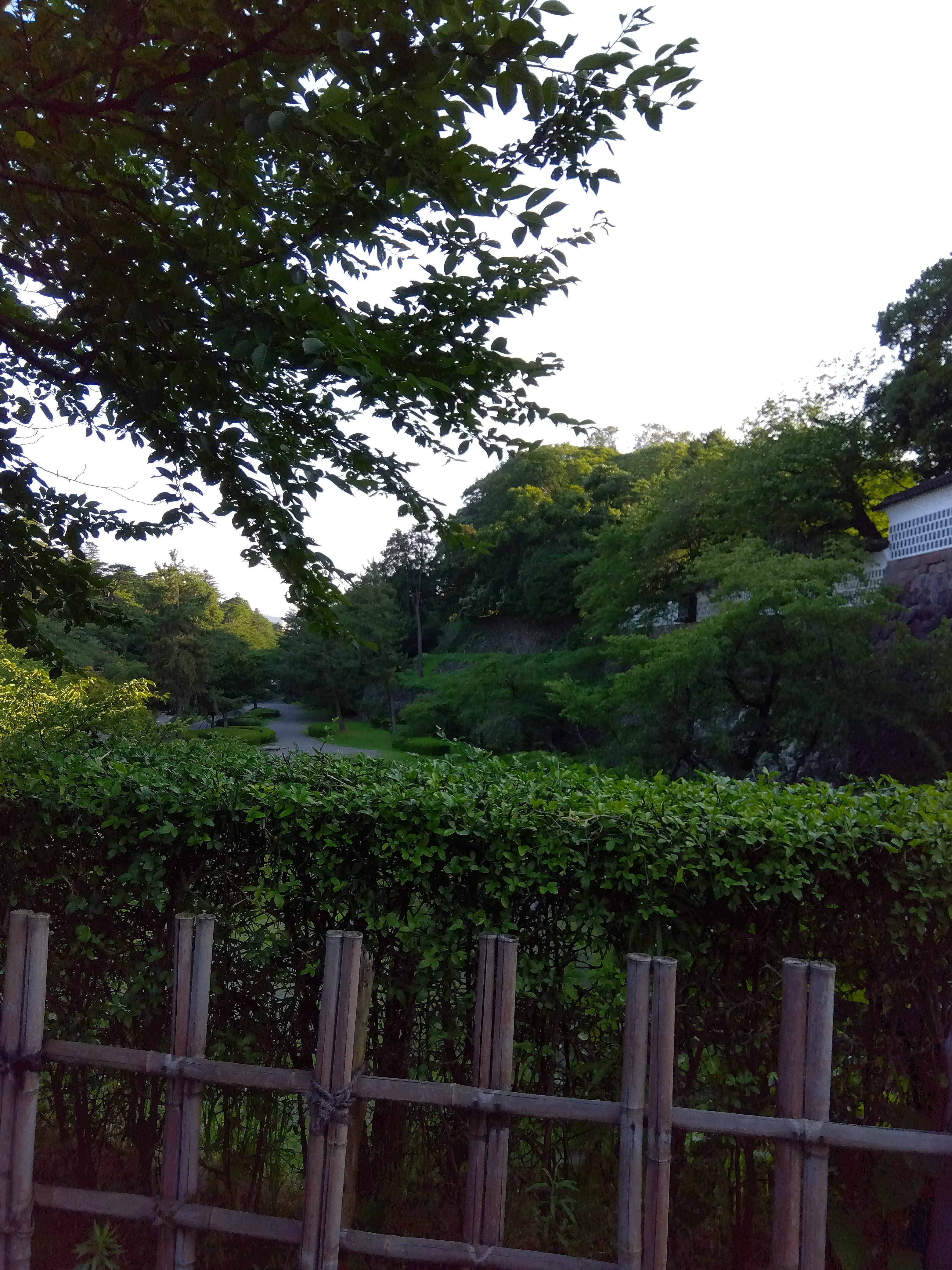 IMG_2024-07-13-17-23-56-129.jpg