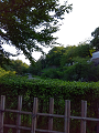 IMG_2024-07-13-17-23-56-129_thumb.png