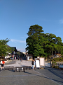 IMG_2024-07-13-17-30-02-472_thumb.png