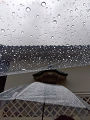 IMG_2024-07-14-11-56-38-018_thumb.png