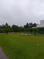 IMG_2024-07-14-13-52-29-374_thumb.png