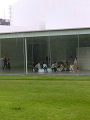 IMG_2024-07-14-13-54-29-448_thumb.png