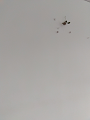 IMG_2024-07-14-14-07-48-019_thumb.png