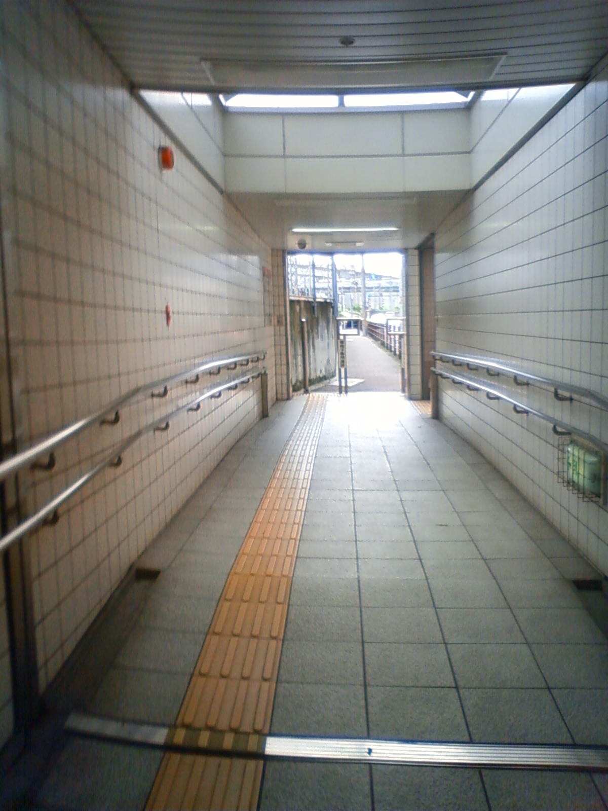 NEC_1284.JPG