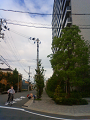NEC_1287_thumb.png