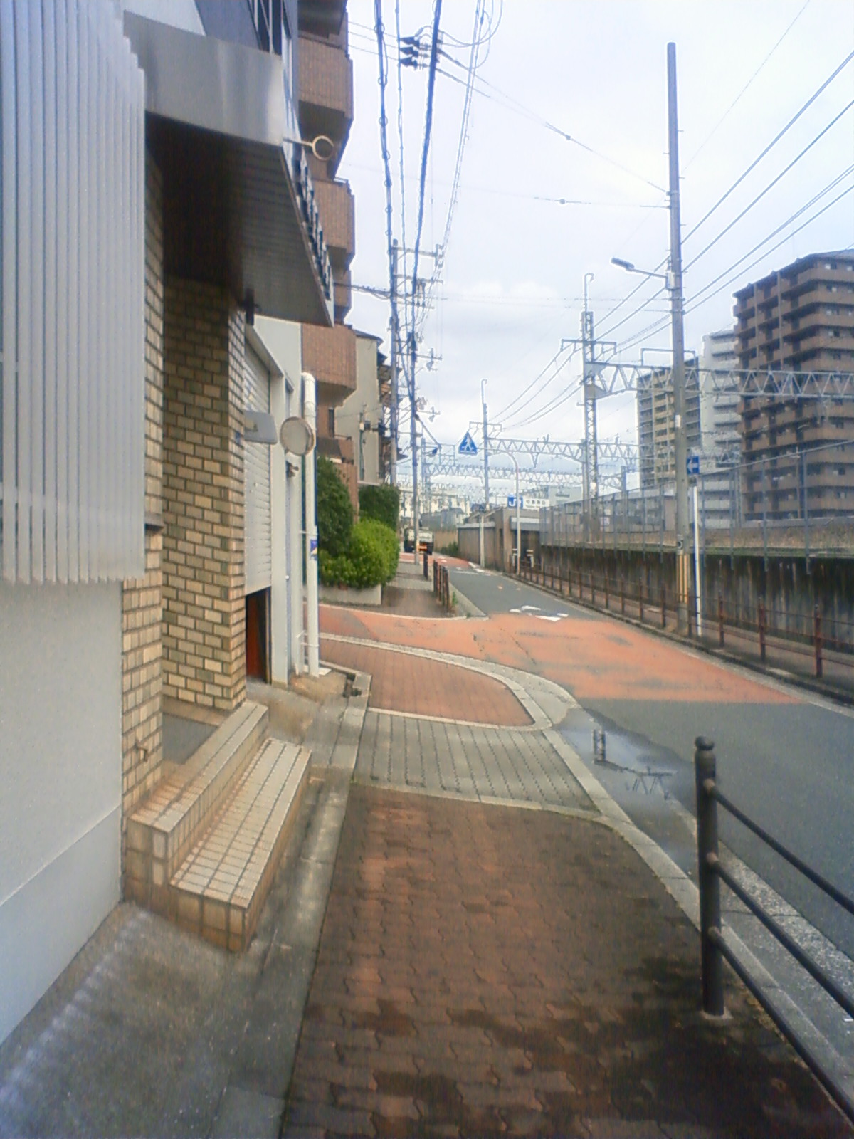 NEC_1295.JPG