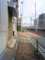 NEC_1295_thumb.png