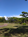 IMG_2025-05-02-14-48-28-828_thumb.png