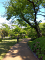 IMG_2025-05-02-14-48-39-452_thumb.png