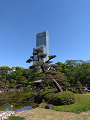 IMG_2025-05-02-14-53-39-253_thumb.png