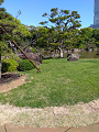 IMG_2025-05-02-14-56-07-287_thumb.png