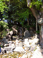 IMG_2025-05-02-15-04-54-762_thumb.png