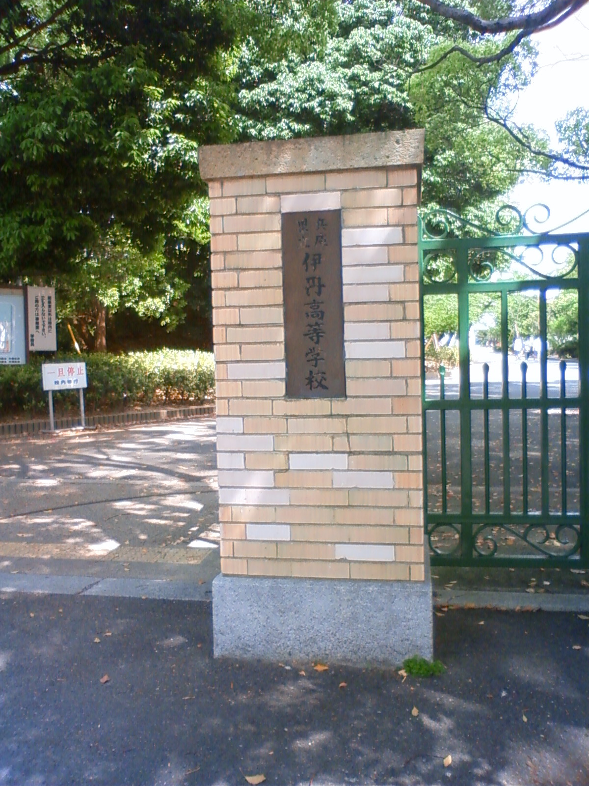 NEC_0587.JPG