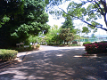 NEC_0589_thumb.png