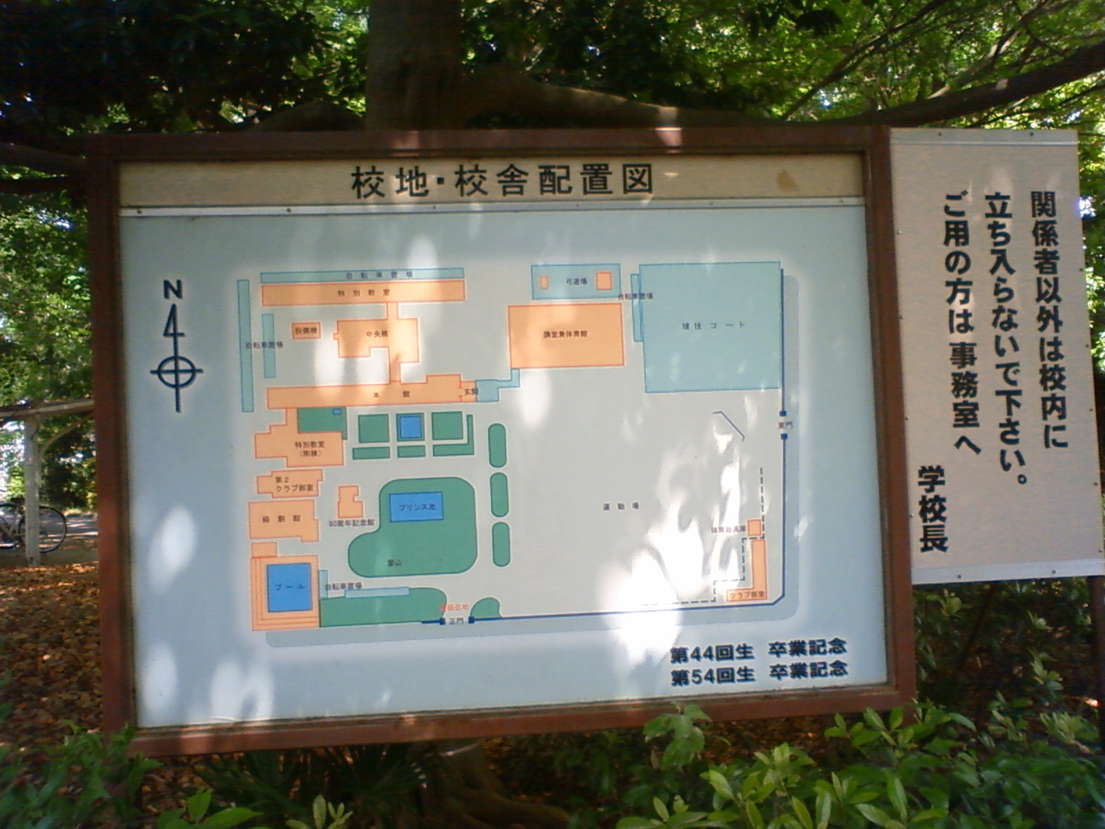 NEC_0590.JPG