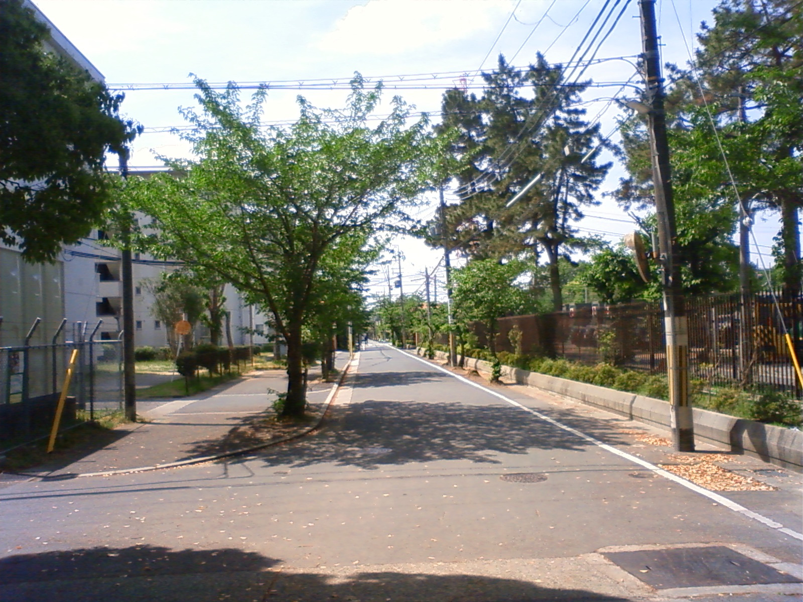 NEC_0591.JPG