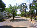 NEC_0591_thumb.png