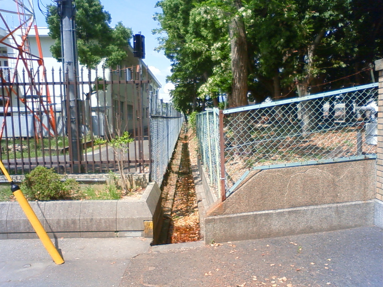 NEC_0592.JPG