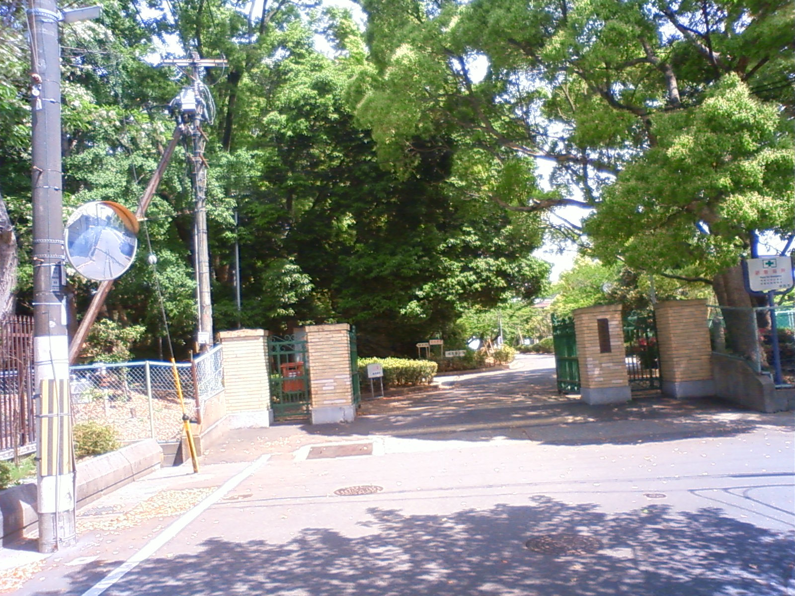 NEC_0594.JPG