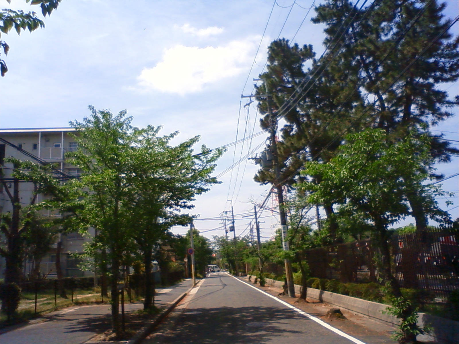 NEC_0595.JPG