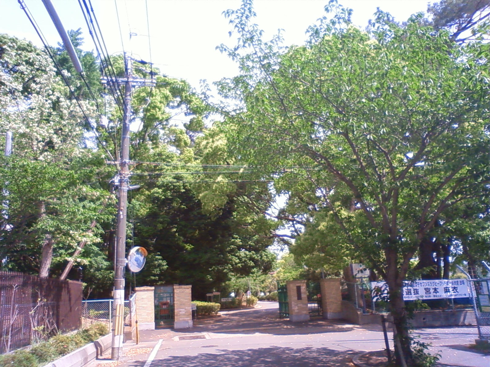 NEC_0597.JPG
