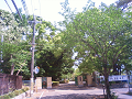 NEC_0597_thumb.png