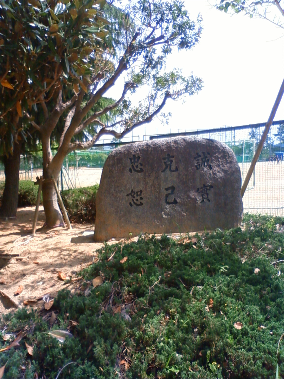 NEC_0599.JPG