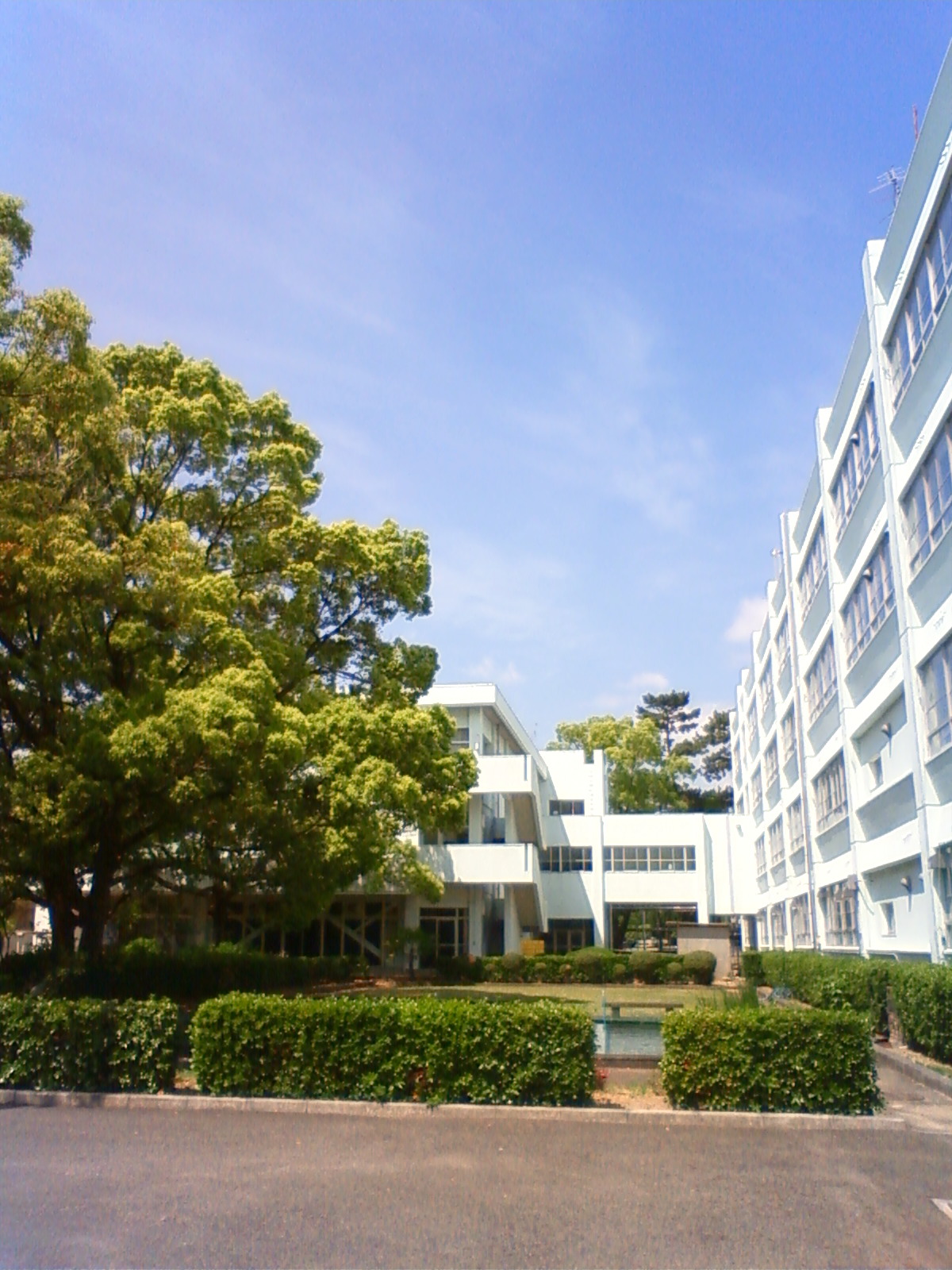 NEC_0602.JPG
