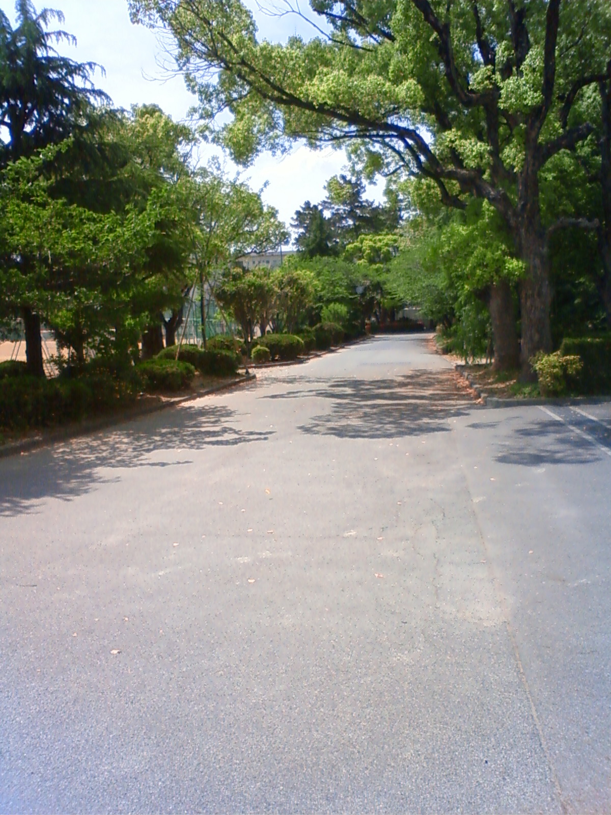 NEC_0604.JPG