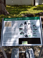 IMG_2024-05-03-11-06-29-542_thumb.png