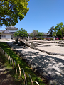 IMG_2024-05-03-11-14-21-545_thumb.png
