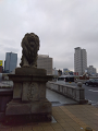 IMG_2023-12-12-09-36-38-799_thumb.png