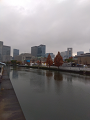IMG_2023-12-12-09-37-08-200_thumb.png