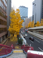IMG_2023-12-12-09-56-17-388_thumb.png