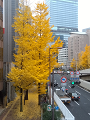 IMG_2023-12-12-09-56-24-849_thumb.png