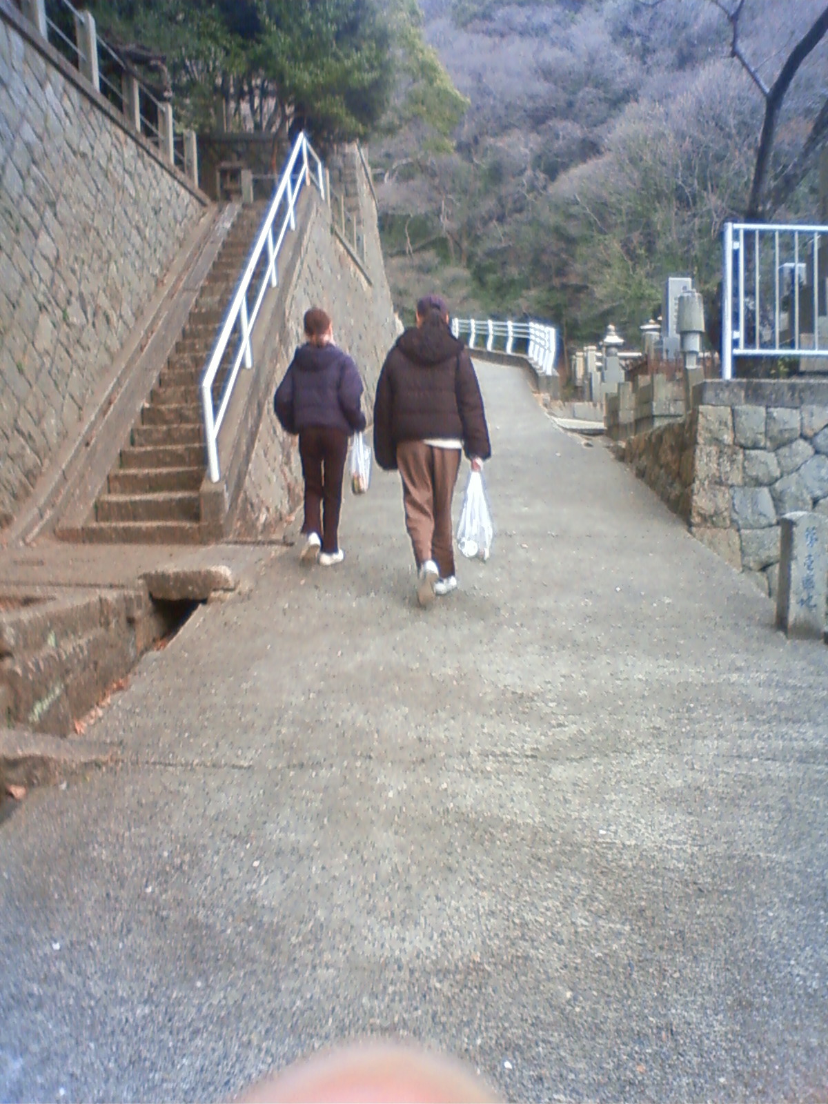 NEC_0971.JPG