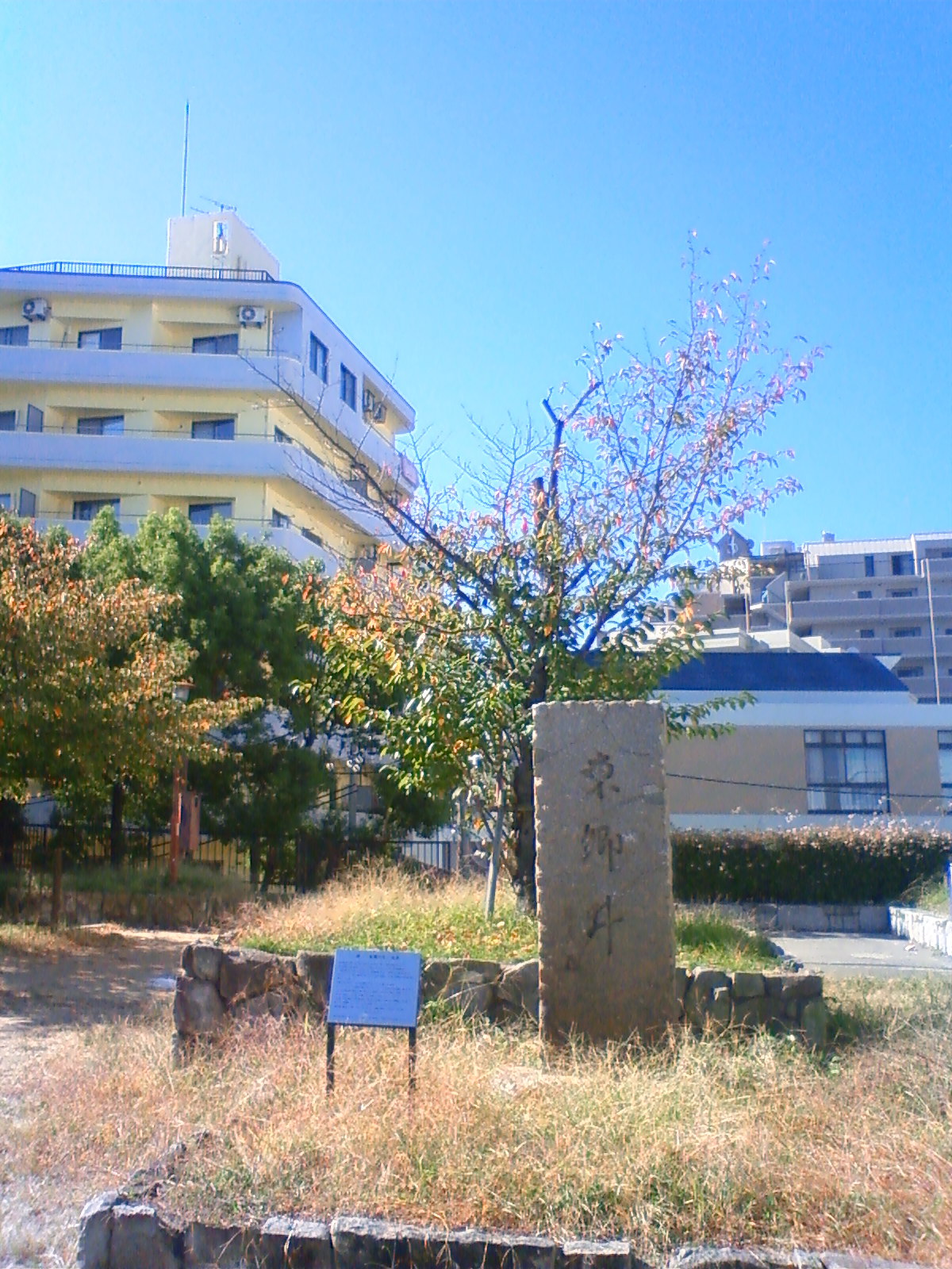 NEC_1407.JPG